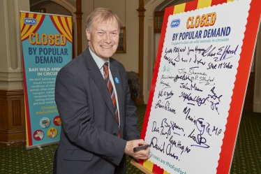 Wild Animals in Circuses event